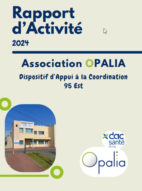 rapport activite